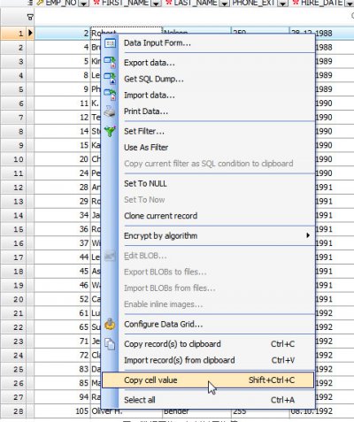 MS SQL Maestro图片13