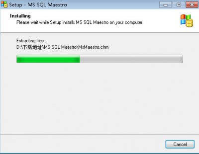 MS SQL Maestro图片5