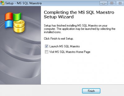 MS SQL Maestro图片6