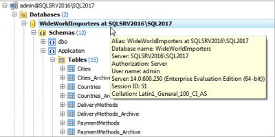 MS SQL Maestro图片8