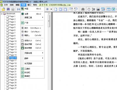 PDF阅读器必迅绿色版图片4