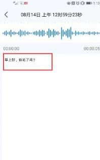 录音转文字助手app怎么用 手机就能搞定语音转文字[多图]图片3