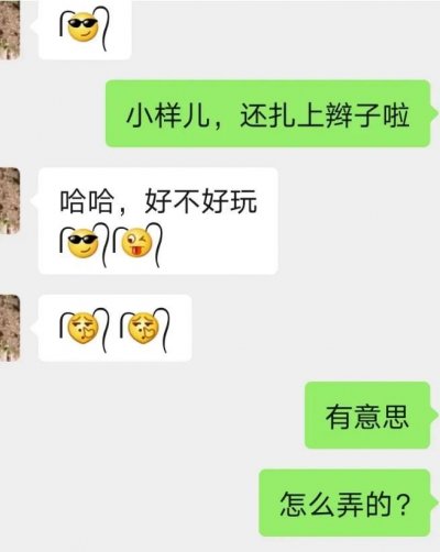 给表情加个双马尾怎么加？给表情加个小辫子教程方法[多图]图片2