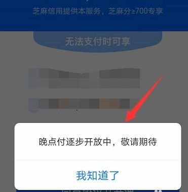 支付宝晚点付怎么用？开通使用教程[多图]图片3