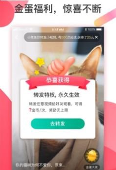 魔视短视频app截图3