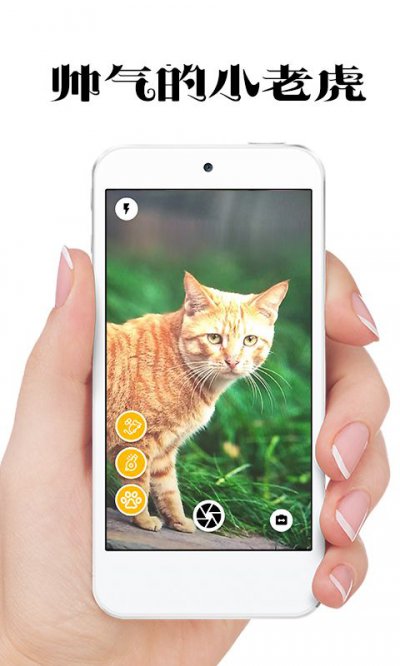 极简猫咪相机app截图2