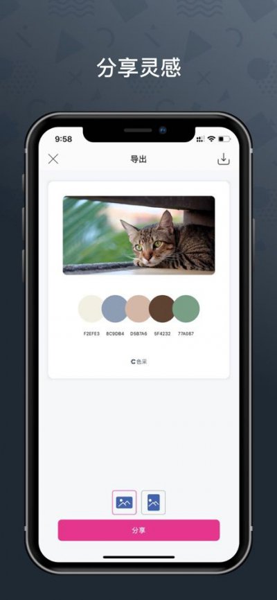 色采配色助手app最新版图片1