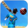 KickCricketLastGame游戏