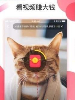 趣淘短视频app截图2