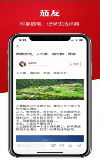 茄友app截图2