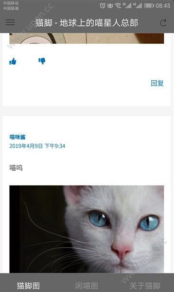 咪猫社区app截图1