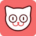 猫猫社app