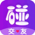 碰对app