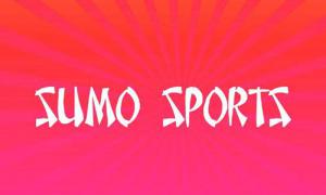 Sumo Sports游戏截图3