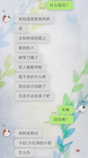 我的女友在被人追赶游戏截图2