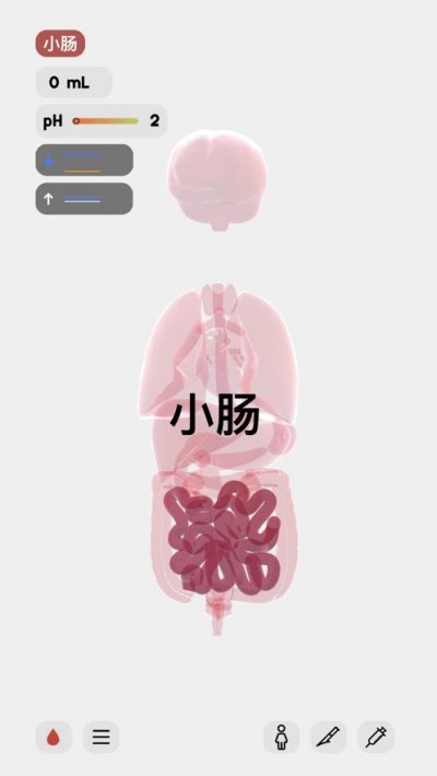 life生命模拟器ios汉化版截图4