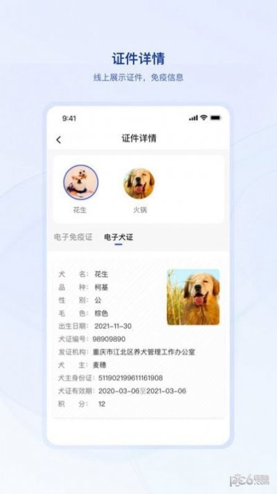 狗联网截图4