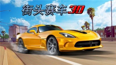 街头赛车(Street Racing 3D)截图2