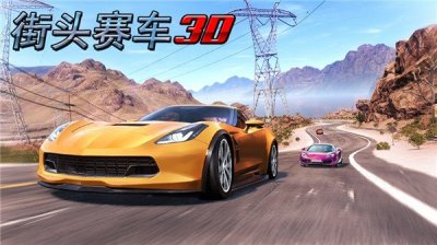 街头赛车(Street Racing 3D)截图3