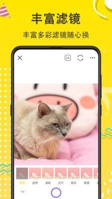 猫狗开心一刻2023最新版截图3