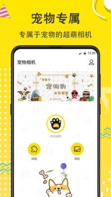 猫狗开心一刻2023最新版截图1