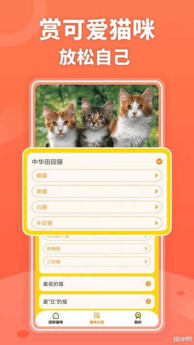 招财进猫app官方版截图4