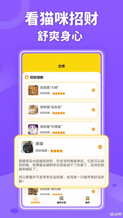 招财进猫app官方版截图1