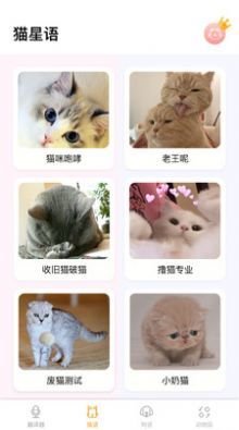 猫语狗语翻译神器app最新版截图3