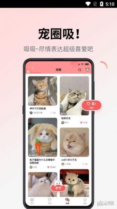 多仔宠物app官方版截图2