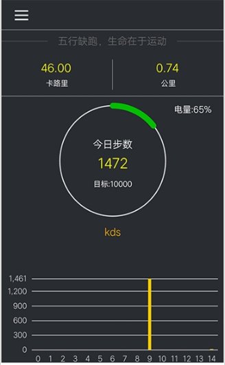 蓝牙计步器官方版截图3