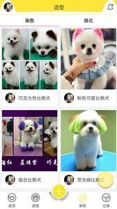 掌心宠物app最新版截图2