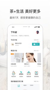 吃茶去最新版截图2