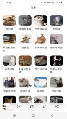 小猫先生app安卓版截图1