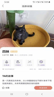 小猫先生app安卓版截图2