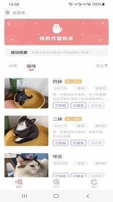 小猫先生app安卓版截图3