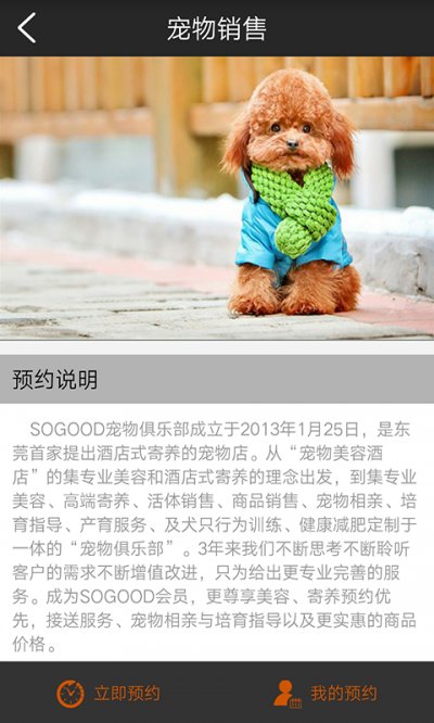 sogood宠物俱乐部截图2