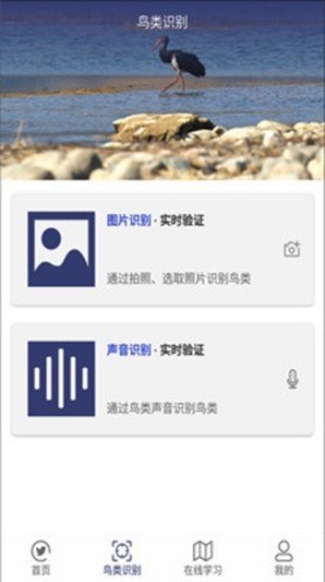 图音识鸟安卓最新版截图1