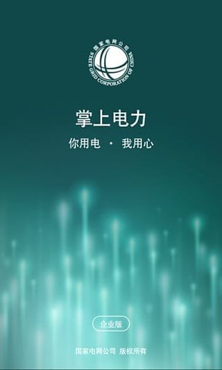 掌上电力企业版最新版截图3