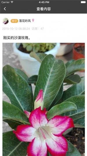 枫桥居花卉截图2