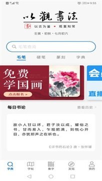 以观书法截图4