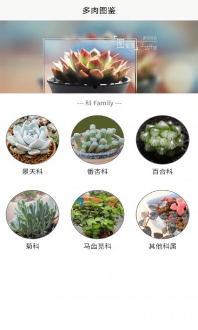 潮句多肉植物汇截图1