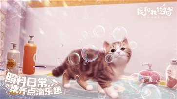 我和我的猫下载安卓版截图2