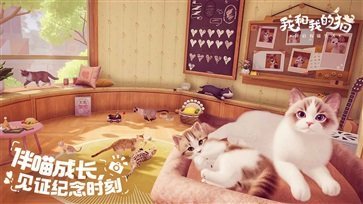 我和我的猫截图3