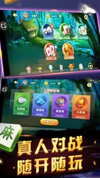 申城麻将app截图2