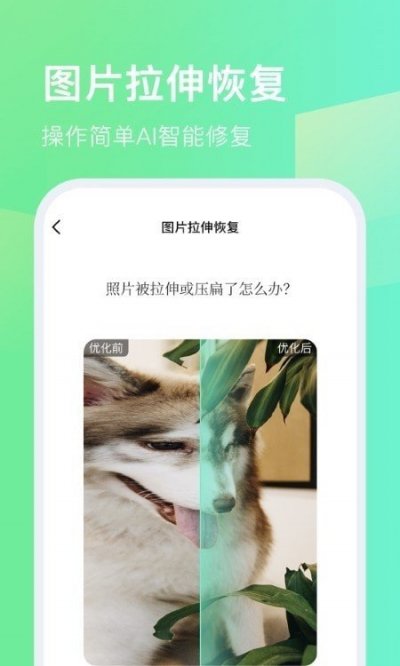 今天拍水印相机最新版截图2