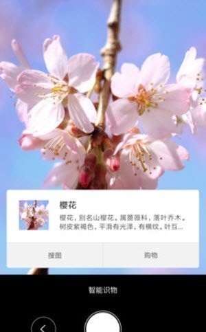 智能识物app免费版截图3